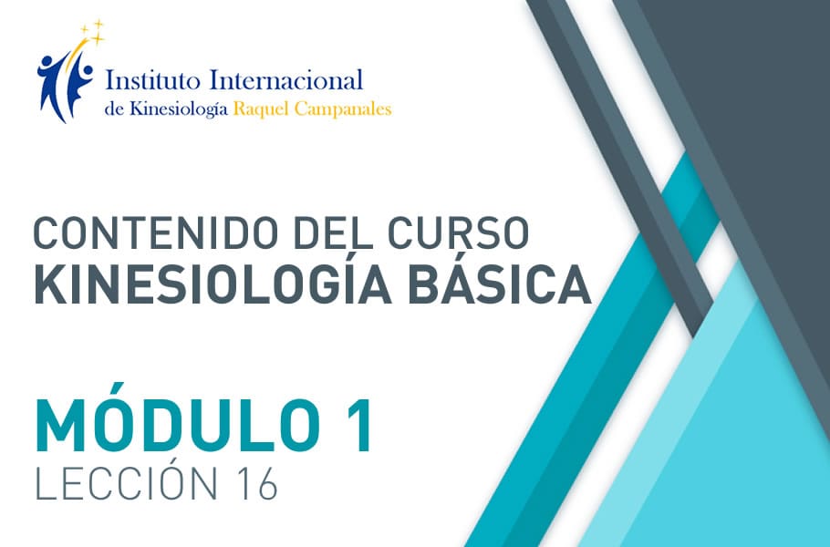 Instituto Internacional de Kinesiología Raquel Campanales - Kinesiología Emocional - Kinesiología Básica Online - Módulo 1 - Lección 16