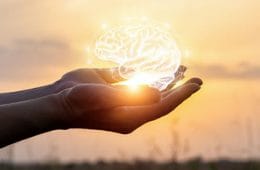 Instituto Internacional de Kinesiología Raquel Campanales - Kinesiología Emocional - Liberación de Creencias y Potenciar tu Identidad