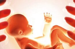 Instituto Internacional de Kinesiología Raquel Campanales - Kinesiologia Avanzado Online - Módulo 5 - Memorias Prenatales