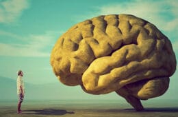 Instituto Internacional de Kinesiología Raquel Campanales - Introducción a la Kinesiología Emocional - Presencial