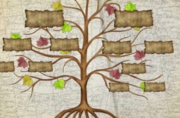 Instituto Internacional de Kinesiología Raquel Campanales - Kinesiología Avanzado - Módulo 8 - Conflictos Transgeneracionales - Presencial