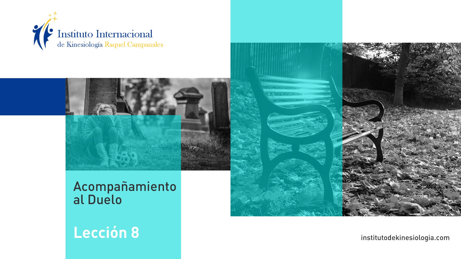 Instituto Internacional de Kinesiología - Curso Online Acompañamiento al Duelo - Módulo 1 - Lección 8 - Funcionamiento de las Frases Sistémicas, preguntas y despedida